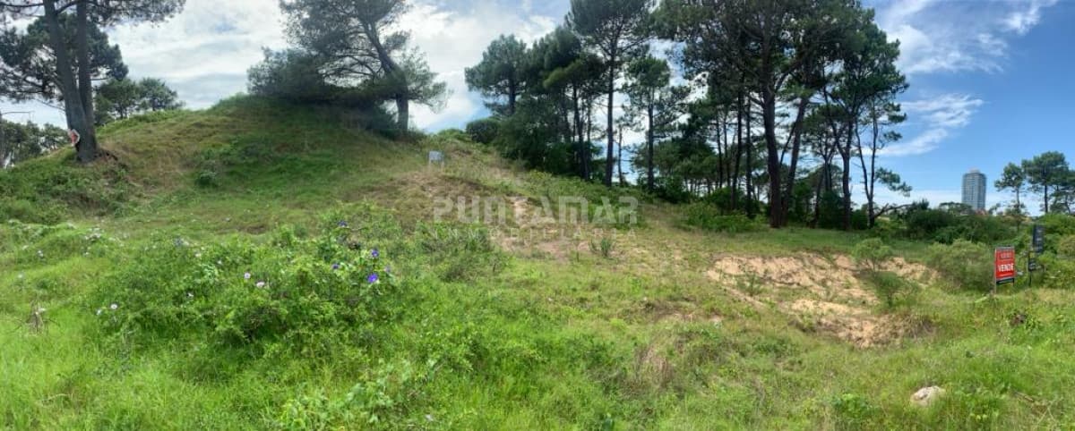 Terreno ID.211195 - Terreno en venta en Rincón del Indio, 1000 m2, oportunidad de inversión!