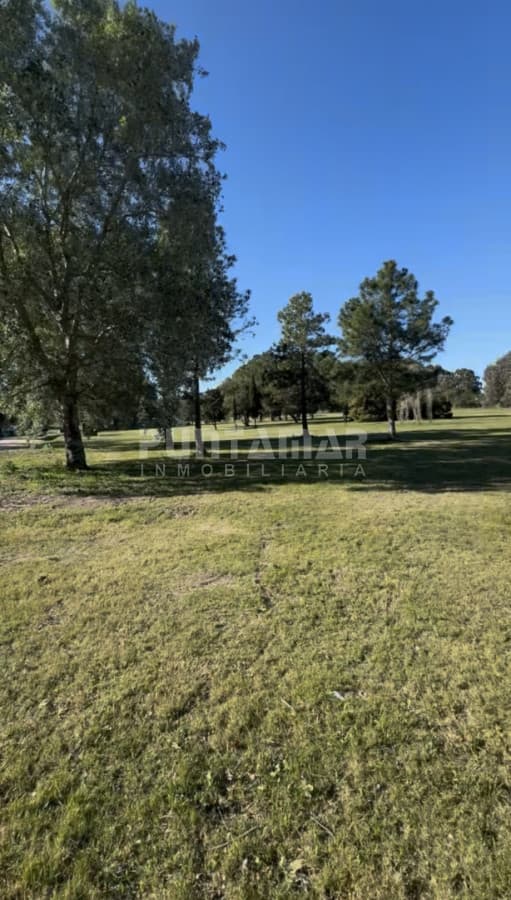 Terreno ID.213872 - Terreno en venta en Don Miguel