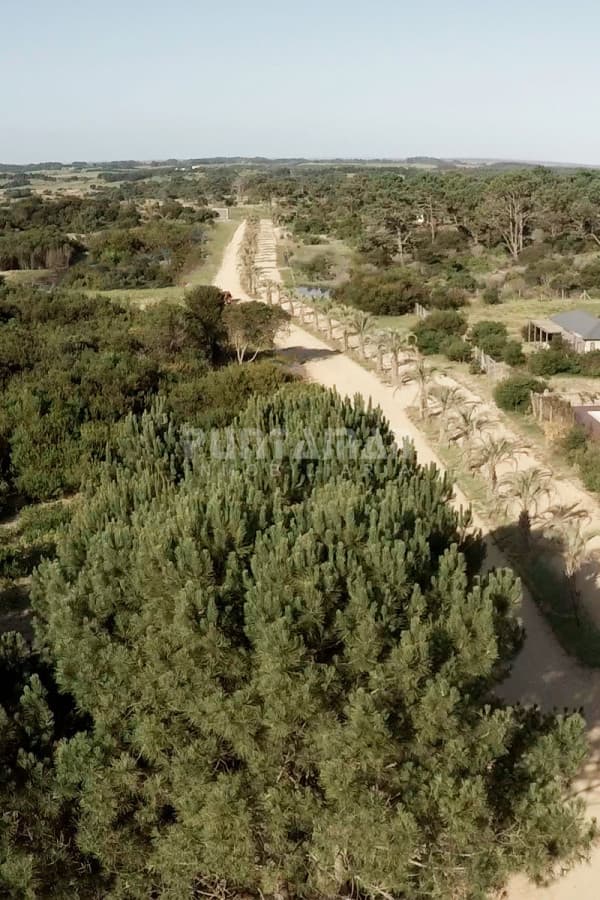 Terreno ID.213681 - TERRENO EN VENTA EN NUEVO BARRIO EN JOSE IGNACIO