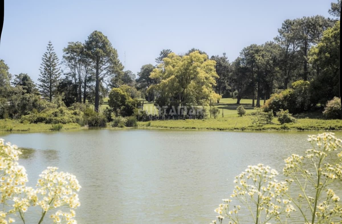 Terreno ID.213889 - Terreno de 1000m2 en Aura