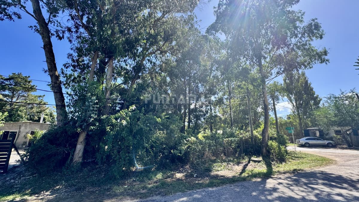 Terreno ID.213635 - OPORTUNIDAD TERRENO EN VENTA EN LA BARRA