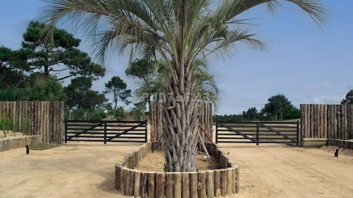 Terreno ID.213682 - HERMOSO TERRENO EN BARRIO PRIVADO EN JOSE IGNACIO