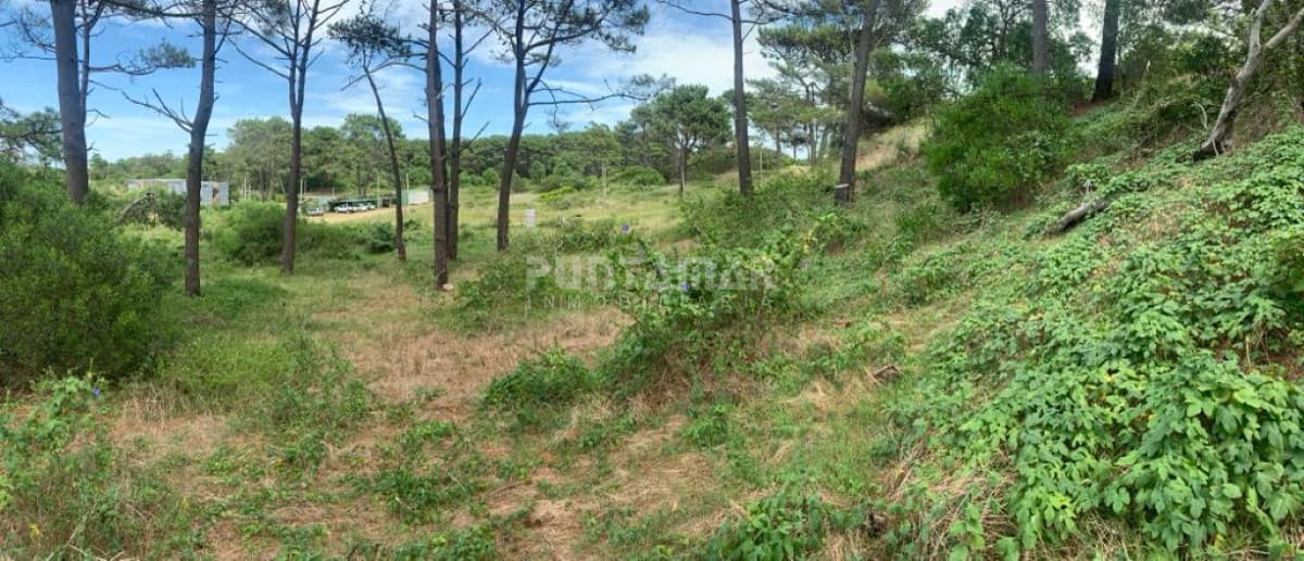 Terreno ID.211195 - Terreno en venta en Rincón del Indio, 1000 m2, oportunidad de inversión!