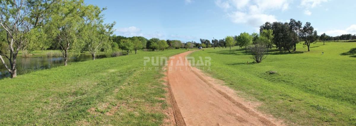 Terreno ID.211432 - Terreno en Punta Ballena, Punta Ballena