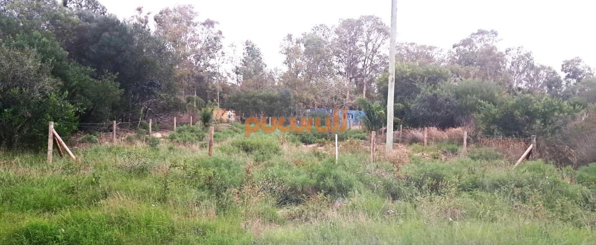 Terreno en venta en Sauce de Portezuelo, excelente ubicación a pasos del mar
