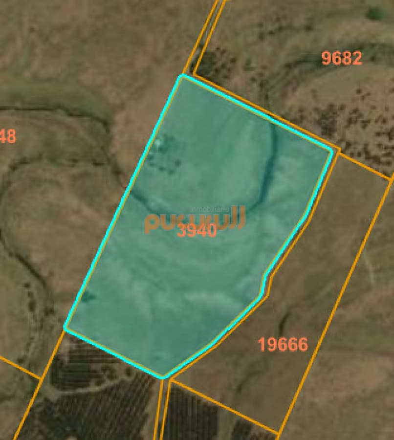 Campo - Los Caracoles en venta - 18 Hectareas