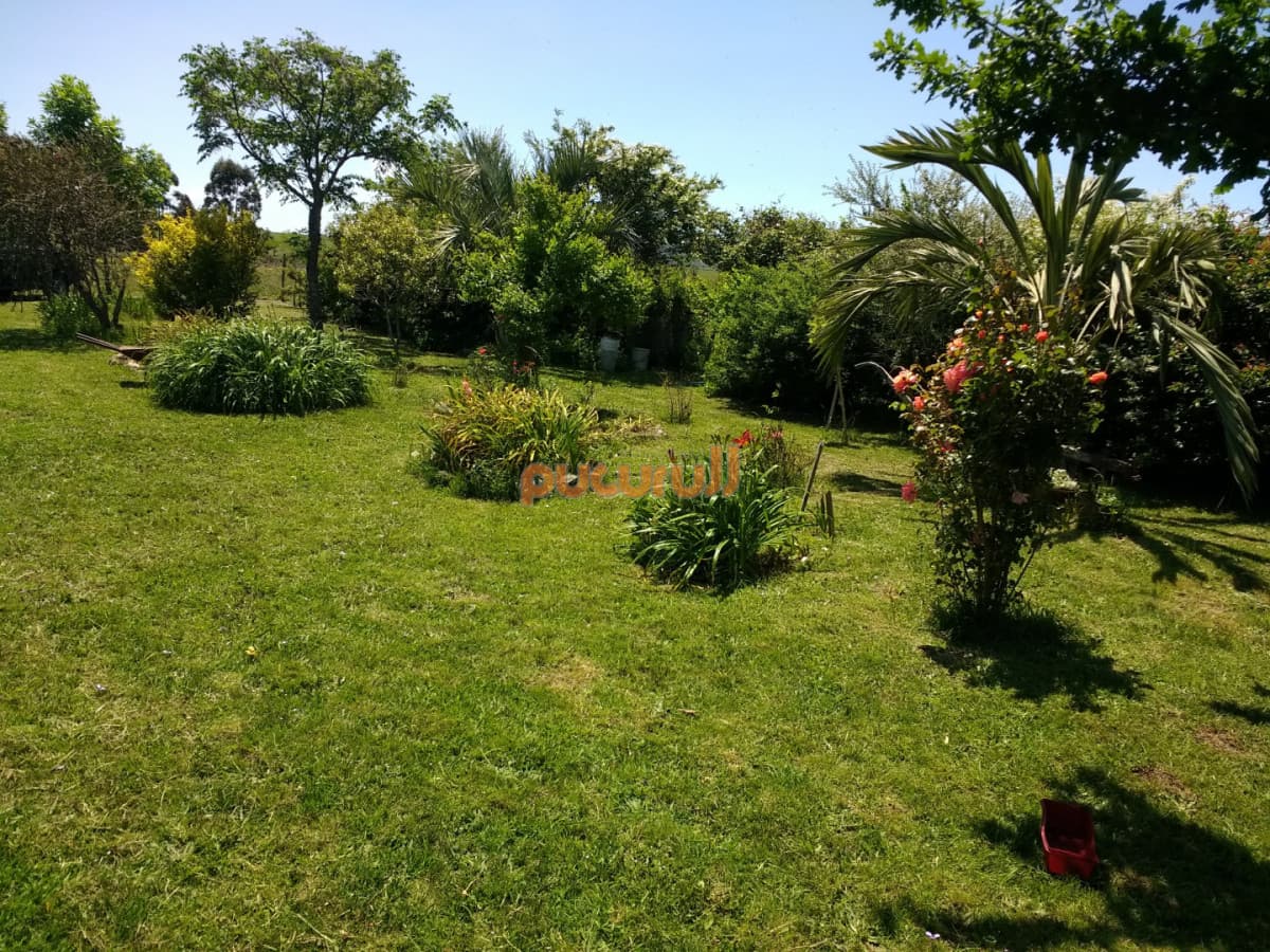 Campo - Los Caracoles en venta - 18 Hectareas