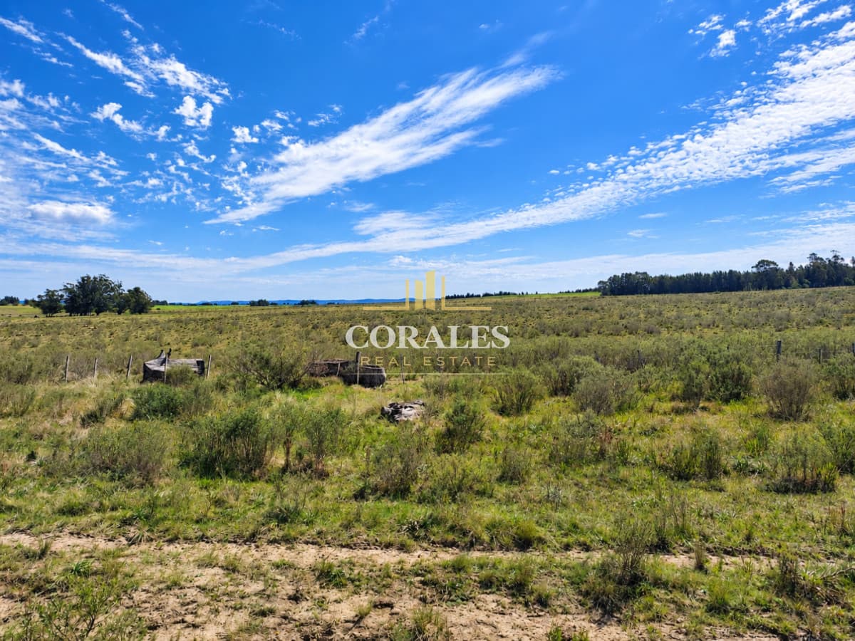 Chacras en venta de 3 ha desde USD 52.000 - Paraje Carlos Cal
