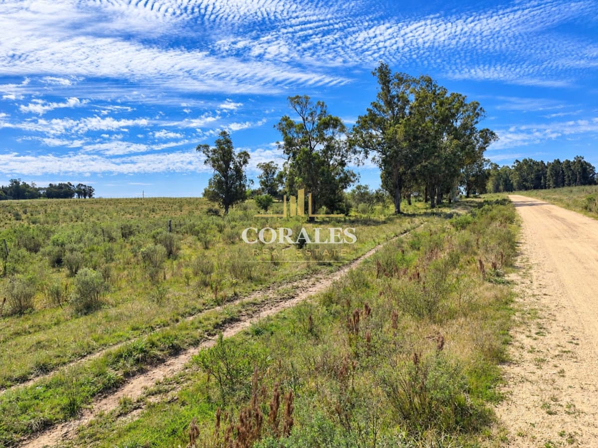 Chacras en venta de 3 ha desde USD 52.000 - Paraje Carlos Cal