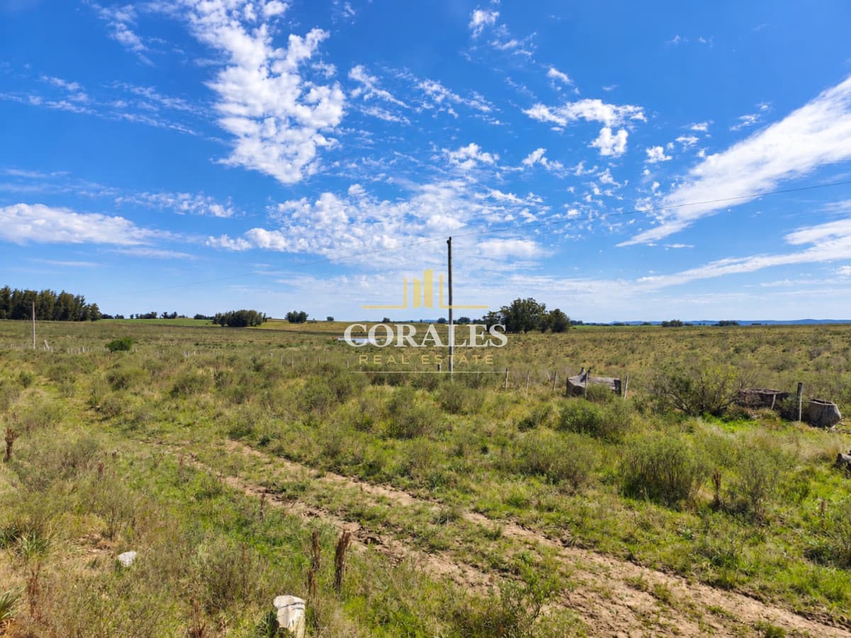 Chacra en venta - Paraje Carlos Cal, Maldonado
