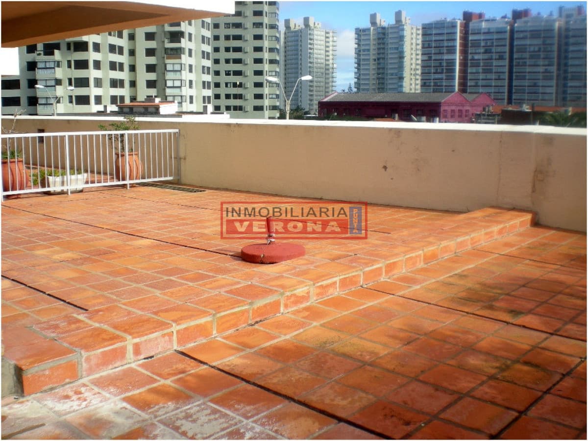 Apartamento en Brava, 3 dormitorios * - Inmobiliaria Verona Punta