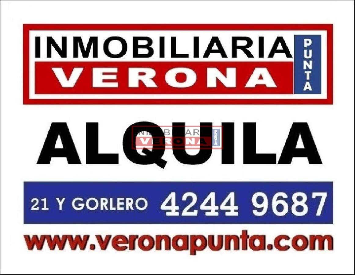 Apartamento en Mansa, 1 dormitorios * - Inmobiliaria Verona Punta