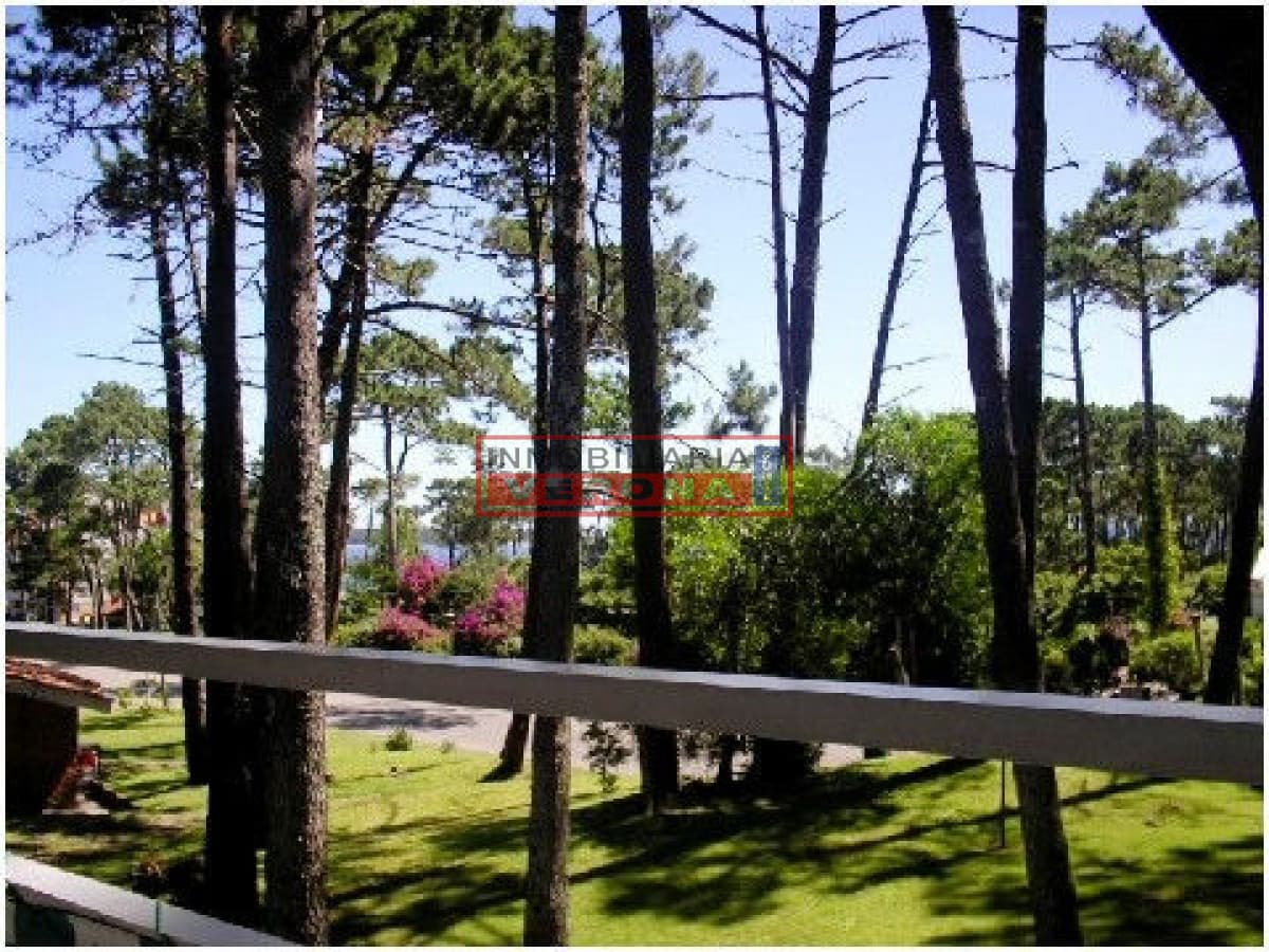 Apartamento en Mansa, 1 dormitorios * - Inmobiliaria Verona Punta