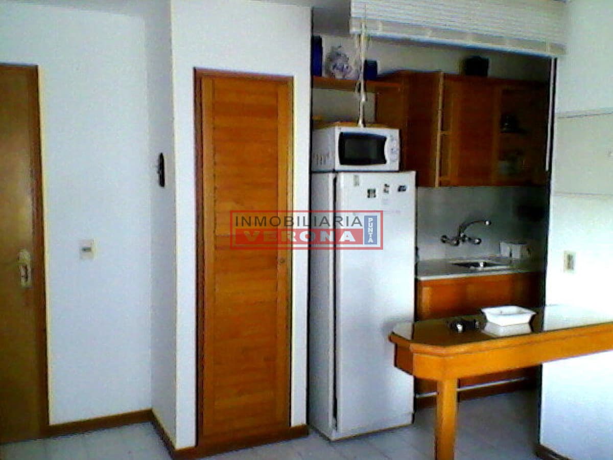 Apartamento en Peninsula, 1 dormitorios * - Inmobiliaria Verona Punta