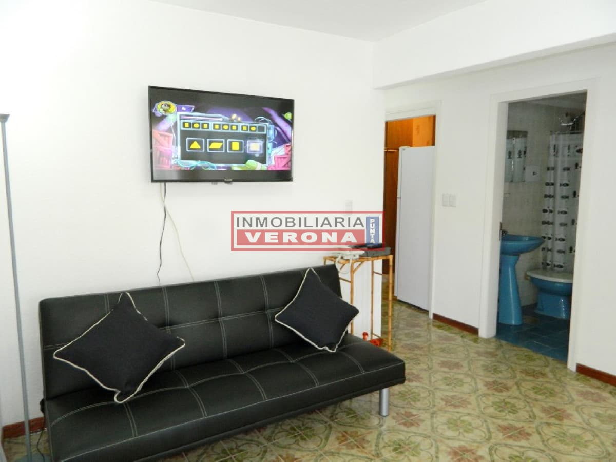 Apartamento en Peninsula, 1 dormitorios * - Inmobiliaria Verona Punta