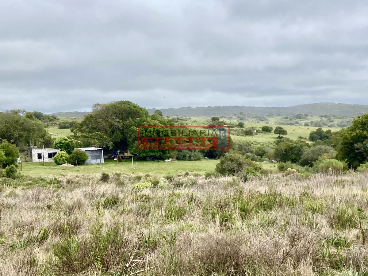 Hermosa chacra en ruta 39, situada a 5 km de la ruta - Inmobiliaria Verona Punta
