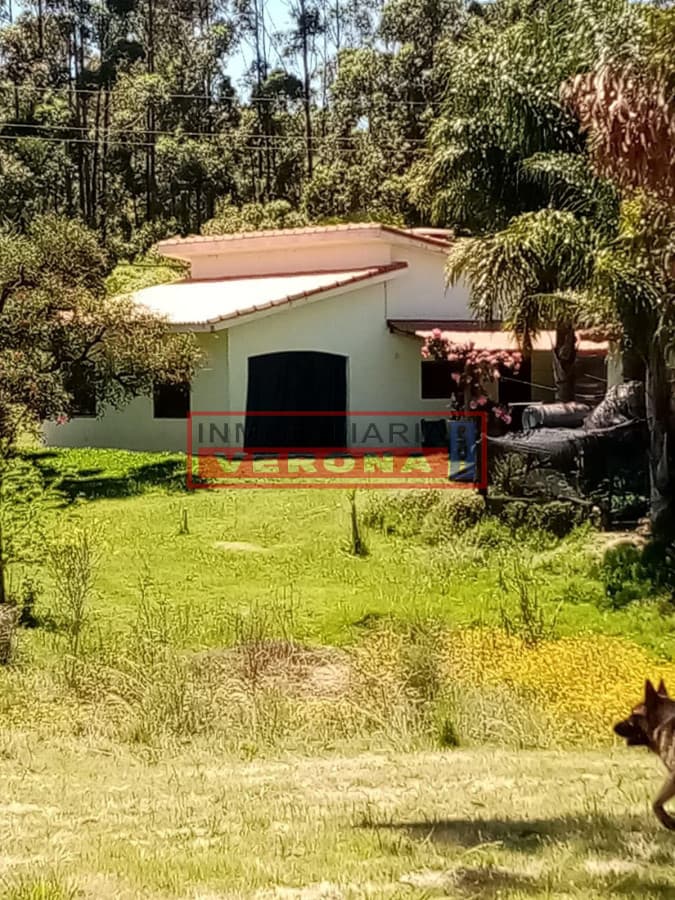 Chacra 3 hectareas - Parquizada - Inmobiliaria Verona Punta