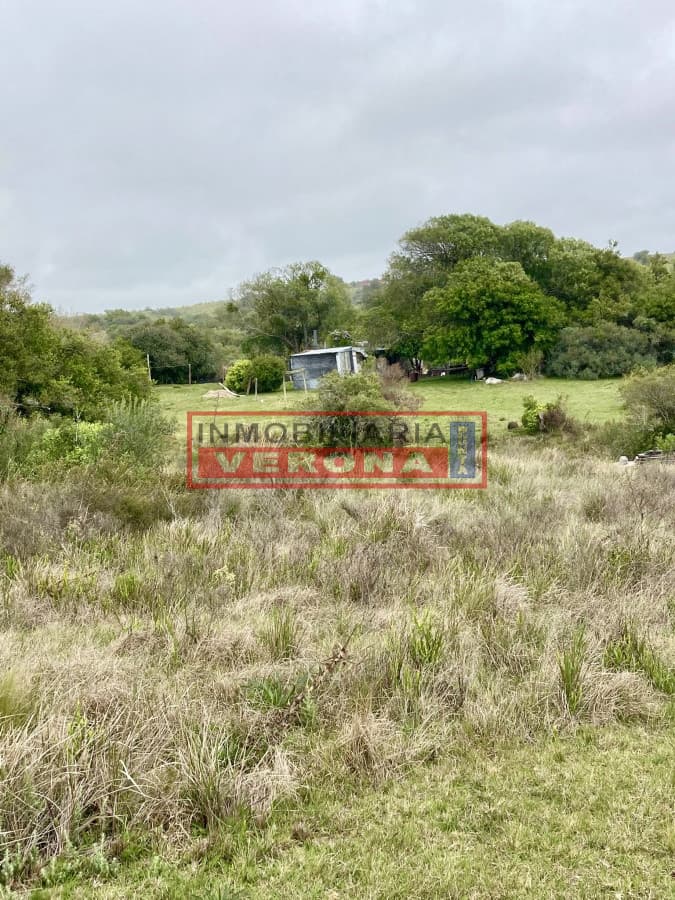 Hermosa chacra en ruta 39, situada a 5 km de la ruta - Inmobiliaria Verona Punta