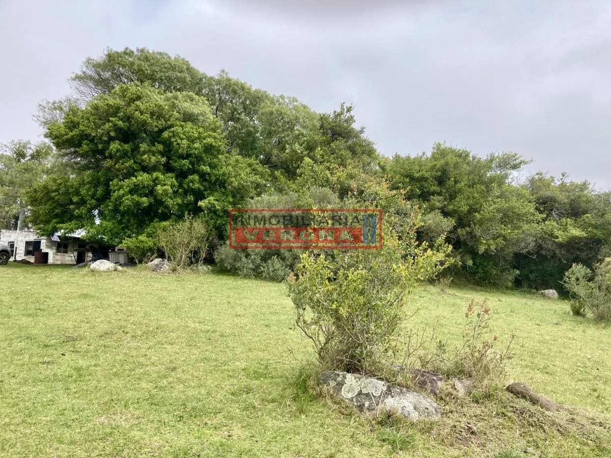 Hermosa chacra en ruta 39, situada a 5 km de la ruta - Inmobiliaria Verona Punta