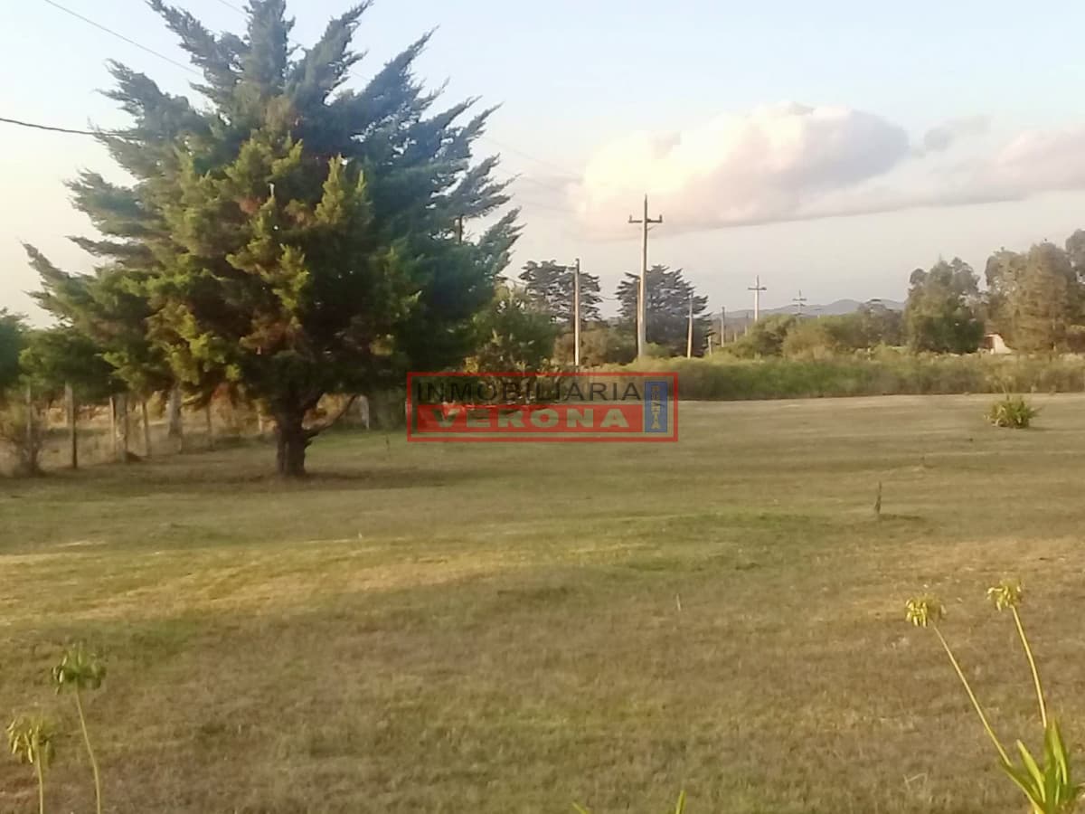 Chacra 5 Has en Camino Los Ceibos  - Inmobiliaria Verona Punta
