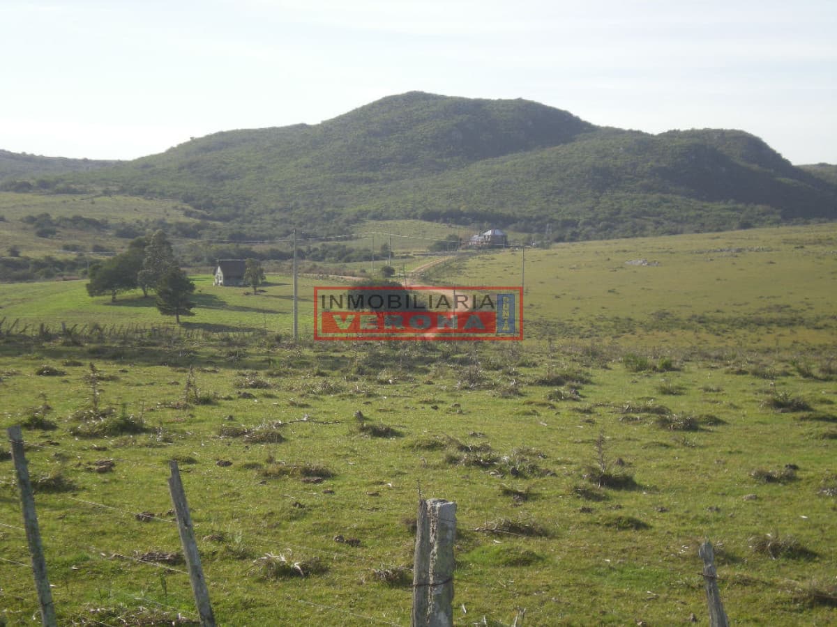 - Inmobiliaria Verona Punta