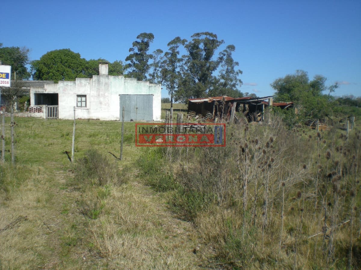 - Inmobiliaria Verona Punta