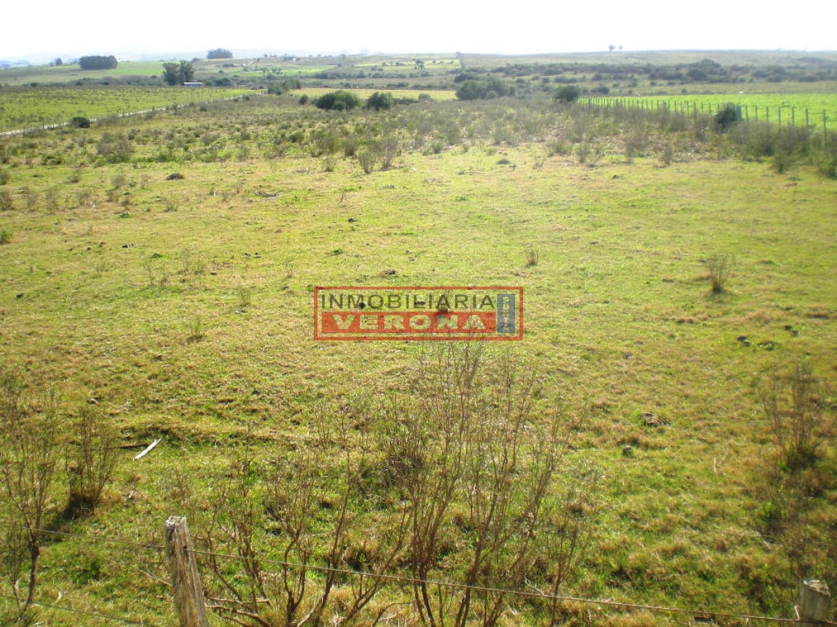 - Inmobiliaria Verona Punta