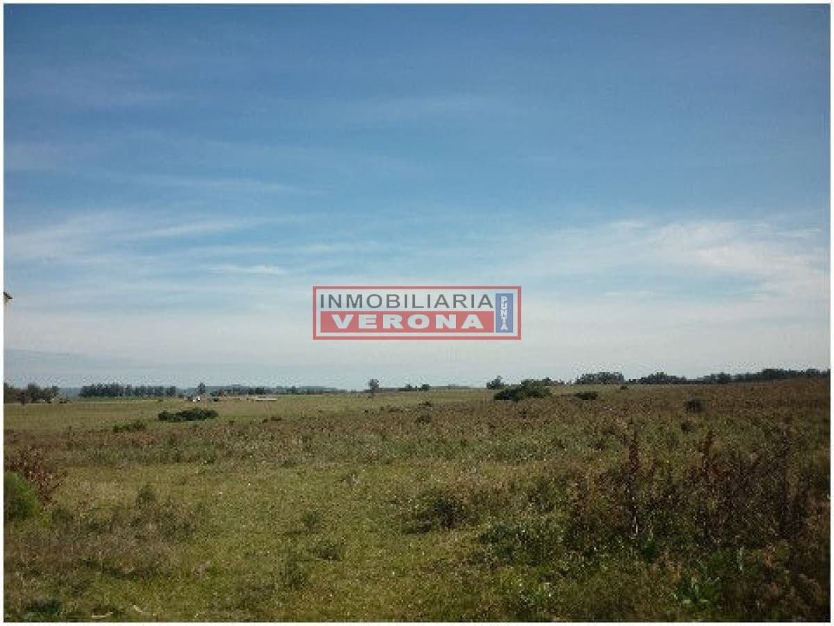 - Inmobiliaria Verona Punta