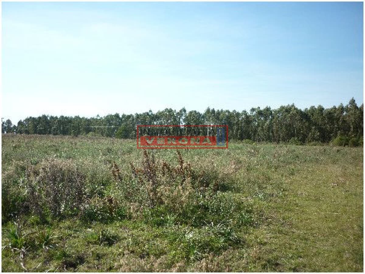 - Inmobiliaria Verona Punta