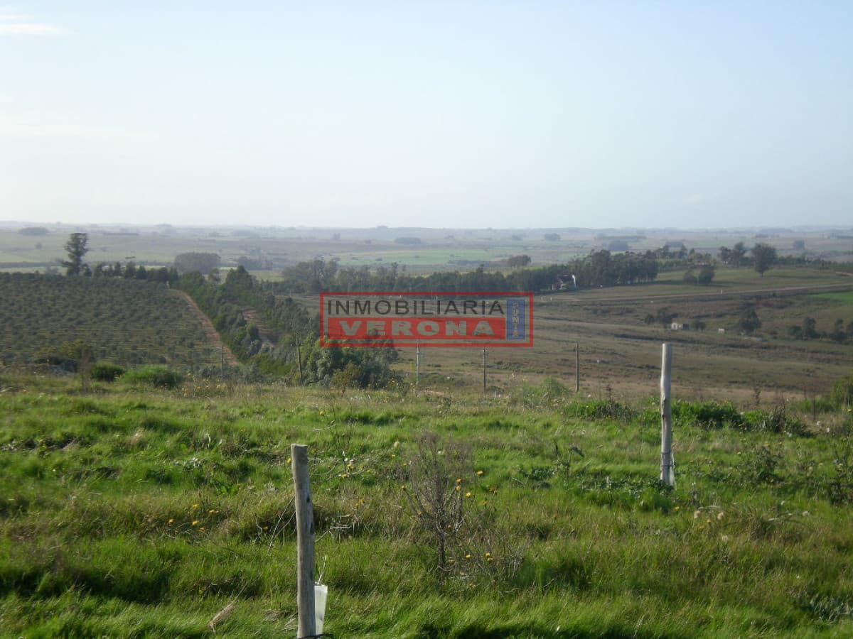 - Inmobiliaria Verona Punta
