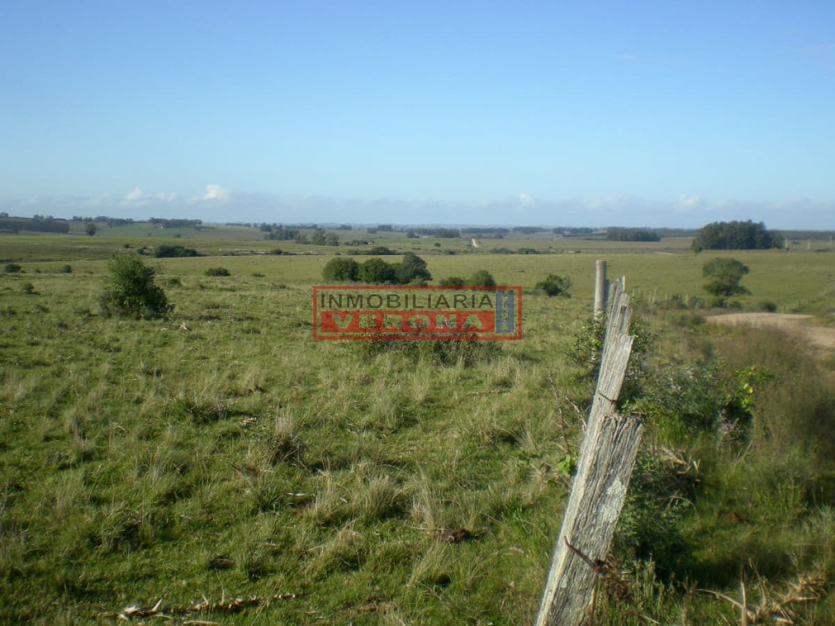 - Inmobiliaria Verona Punta