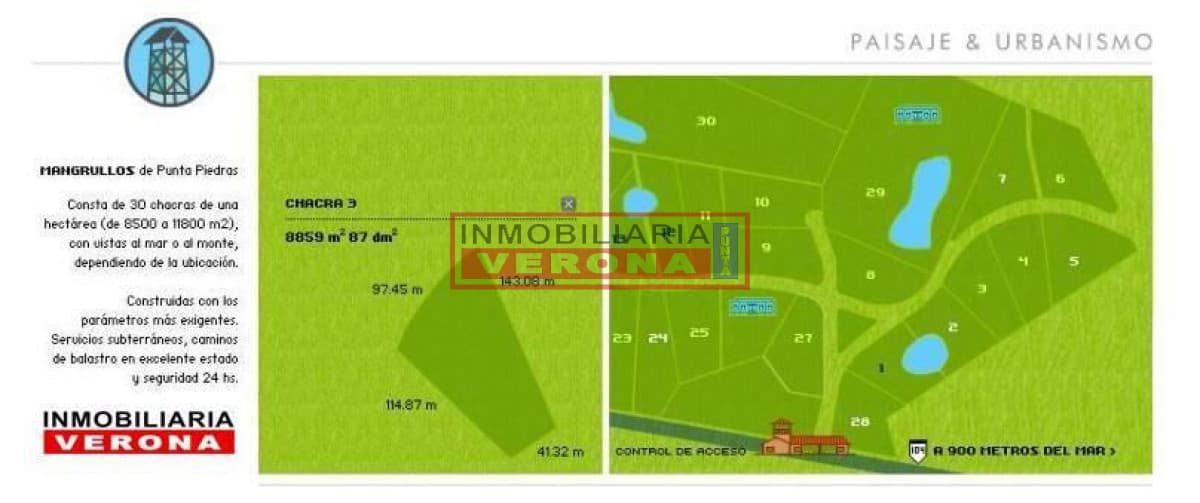 - Inmobiliaria Verona Punta