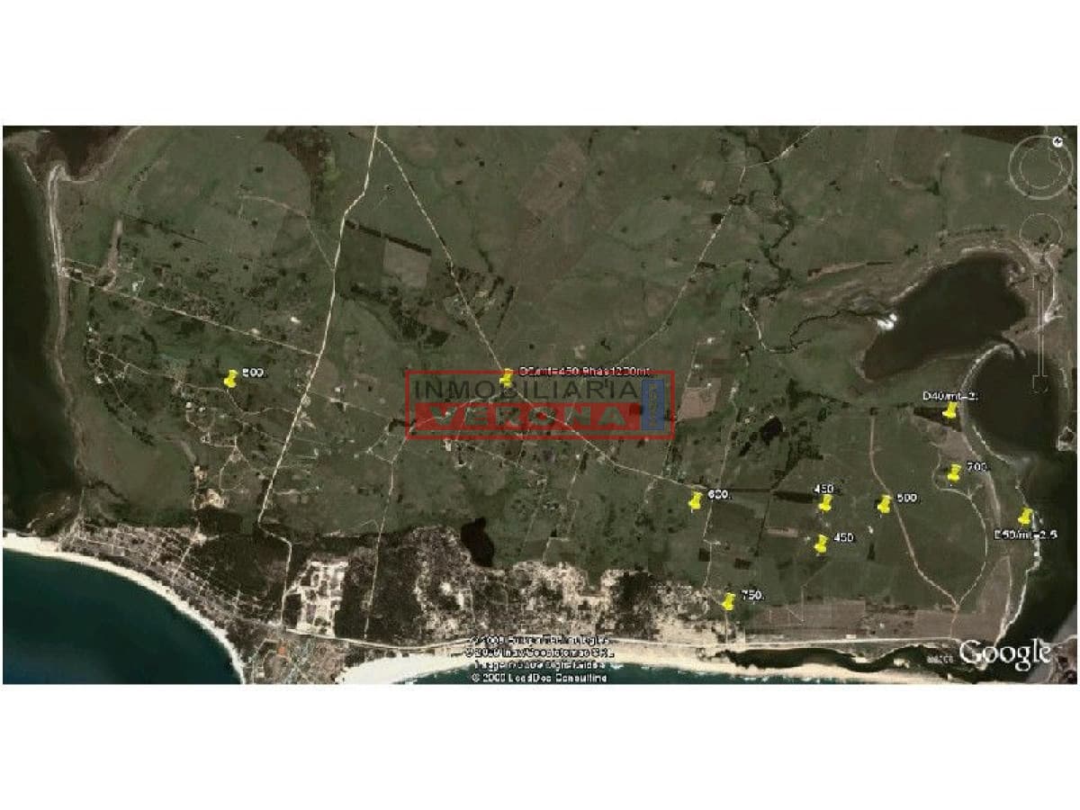 - Inmobiliaria Verona Punta