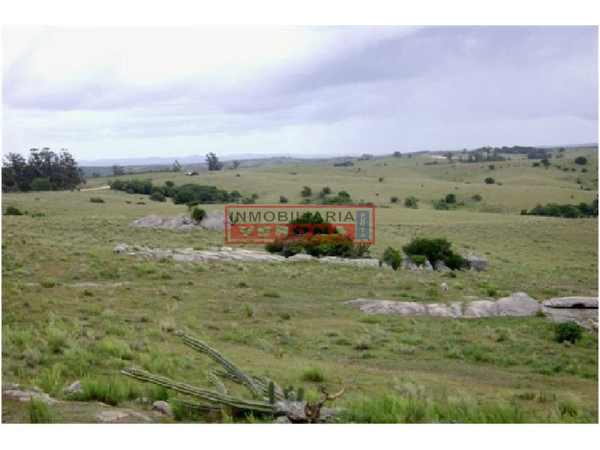 - Inmobiliaria Verona Punta