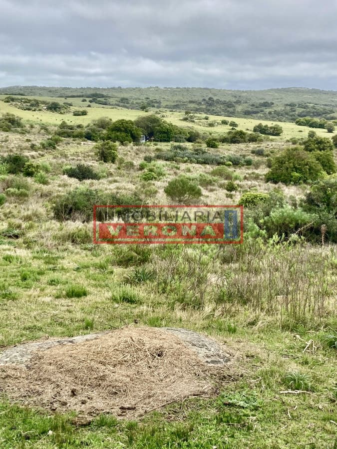 Hermosa chacra en ruta 39, situada a 5 km de la ruta - Inmobiliaria Verona Punta