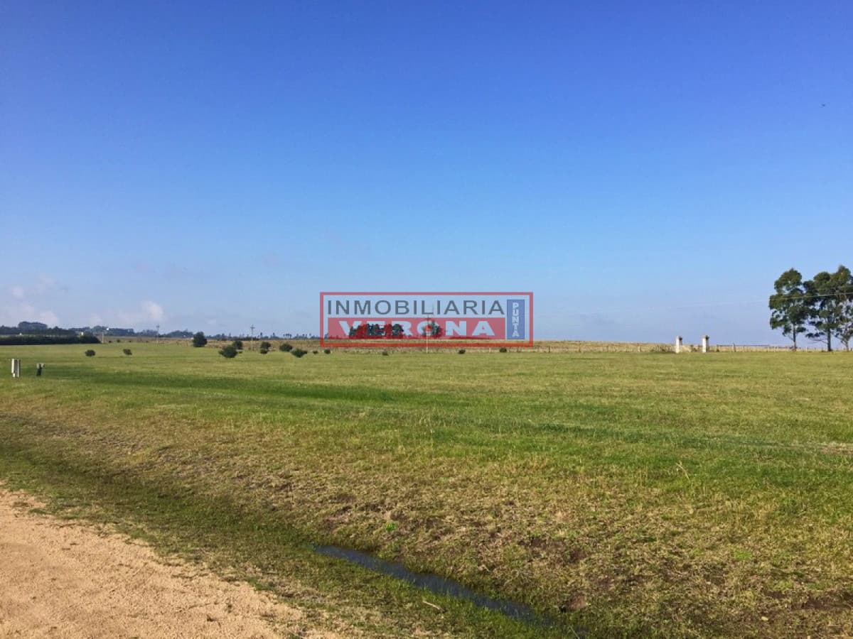 Lote de 5000 mts en Chacras El Quijote! - Inmobiliaria Verona Punta