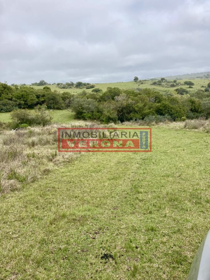 Hermosa chacra en ruta 39, situada a 5 km de la ruta - Inmobiliaria Verona Punta