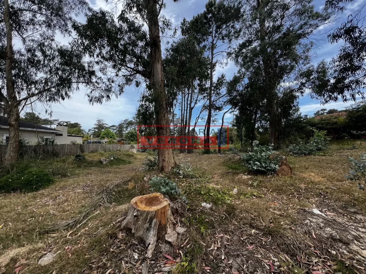 Terreno en MARLY - Entorno Residencial - Inmobiliaria Verona Punta