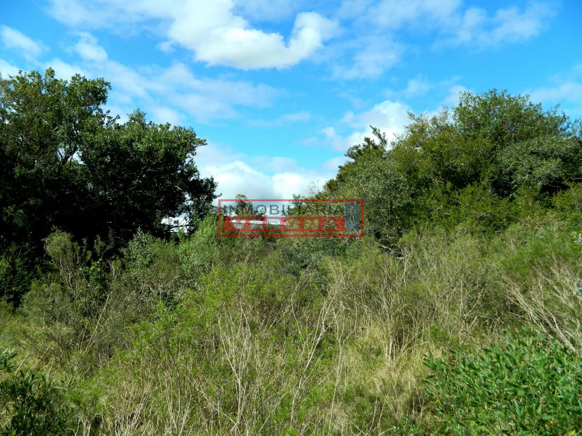 TERRENO CON EXCELENTES VISTAS! - Inmobiliaria Verona Punta