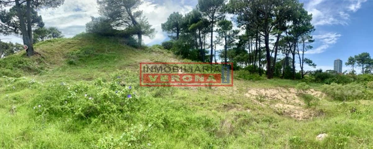 OPORTUNIDAD DE INVERSIÓN !!!   - Inmobiliaria Verona Punta