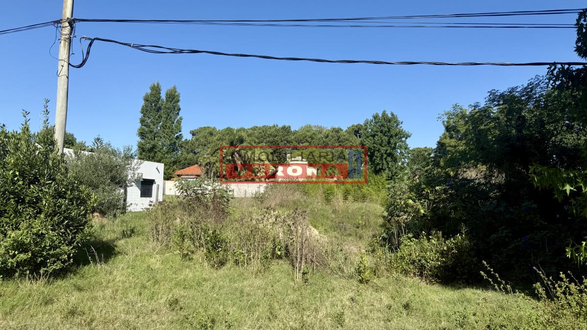 Terreno en Venta - Zona Marly, Punta del Este  - Inmobiliaria Verona Punta