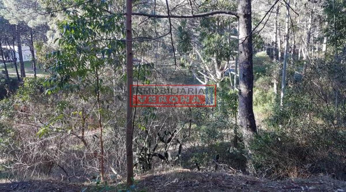 Oportunidad Terreno en Club del Lago - Inmobiliaria Verona Punta