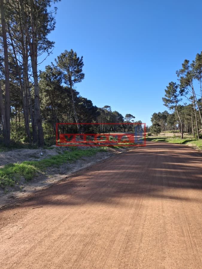 LOTE EN PINARES - Parque Burnett - Inmobiliaria Verona Punta