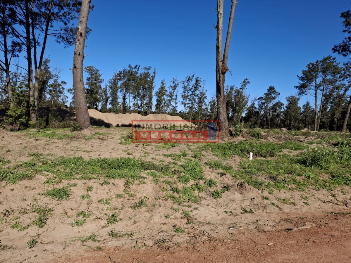 LOTE EN PINARES - Parque Burnett - Inmobiliaria Verona Punta
