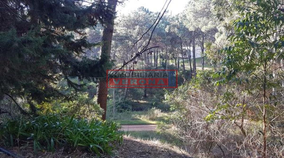 Oportunidad Terreno en Club del Lago - Inmobiliaria Verona Punta