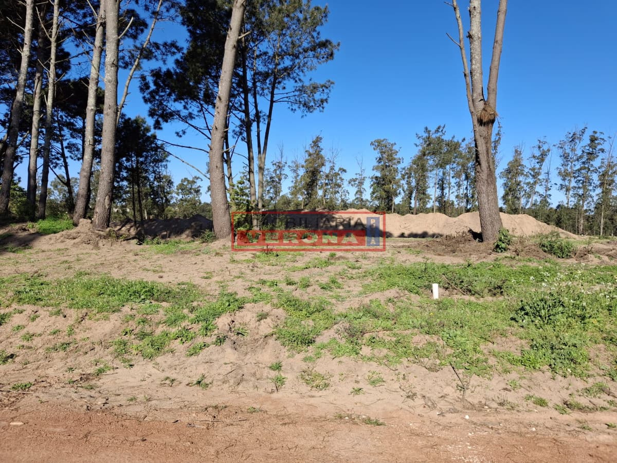 LOTE EN PINARES - Parque Burnett - Inmobiliaria Verona Punta