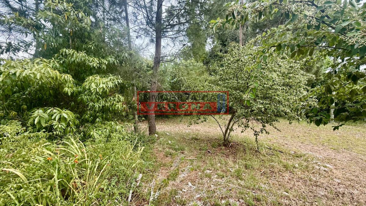 Terreno en Jardines de Córdoba - Inmobiliaria Verona Punta