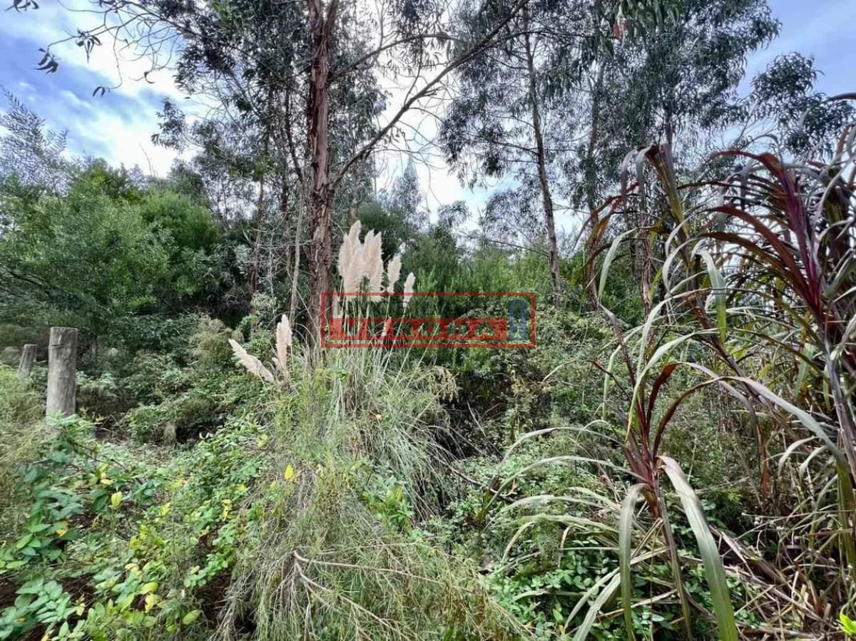 Terreno 900 m2 MIRAMAR ACRES - Inmobiliaria Verona Punta