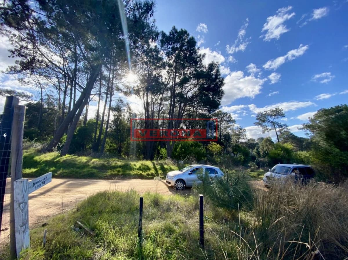 Lote en Barra Verde - La Barra - Inmobiliaria Verona Punta