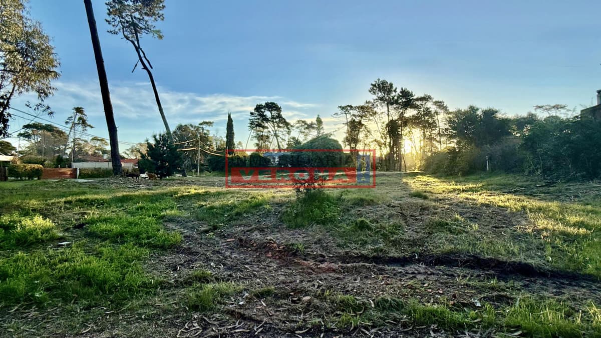 Terreno en MARLY - Entorno Residencial - Inmobiliaria Verona Punta